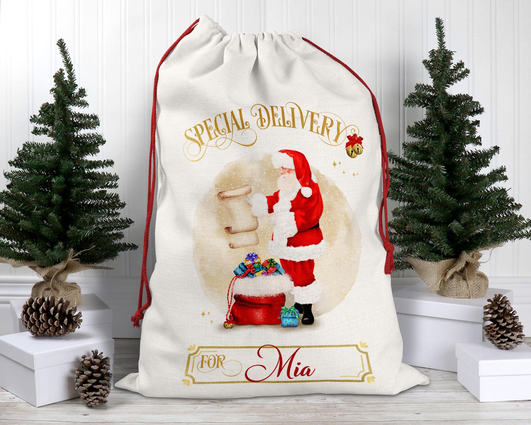 Personalised Christmas Santa Sack – Special Delivery for Kids - Custom Santa Sack - Christmas Eve Bag