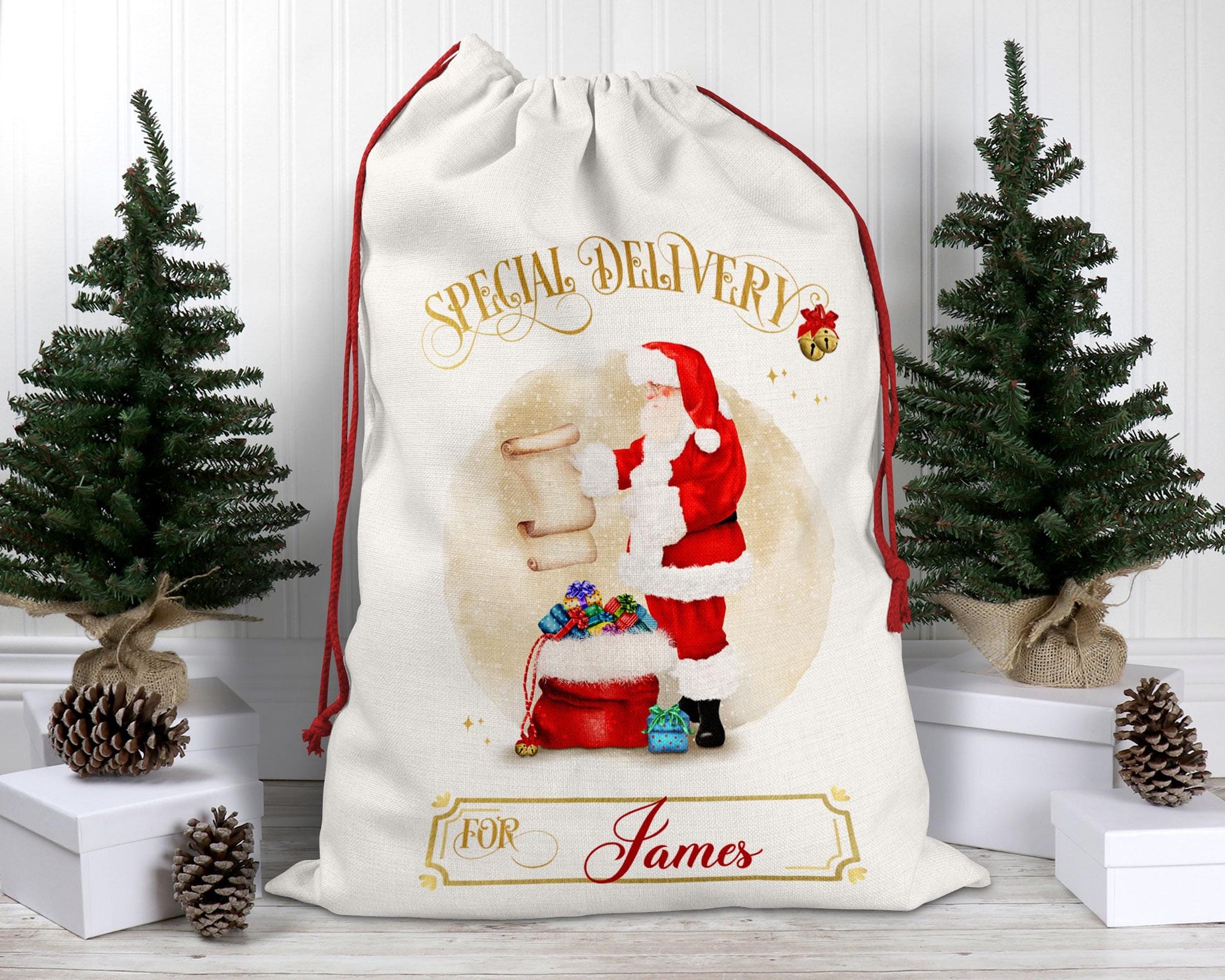 Personalised Christmas Santa Sack – Special Delivery for Kids - Custom Santa Sack - Christmas Eve Bag