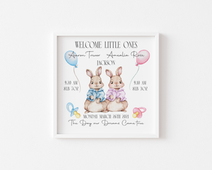 Bunny Baby Stat Frames (Various Colours) & Twins