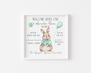 Bunny Baby Stat Frames (Various Colours) & Twins