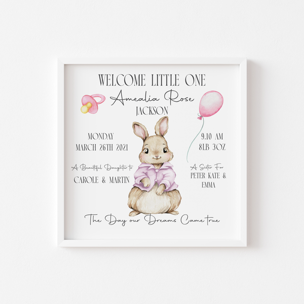 Bunny Baby Stat Frames (Various Colours) & Twins
