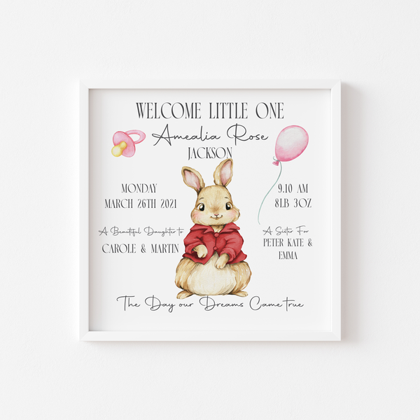 Bunny Baby Stat Frames (Various Colours) & Twins