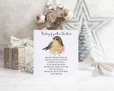 Memorial Robin thinking of you Christmas card